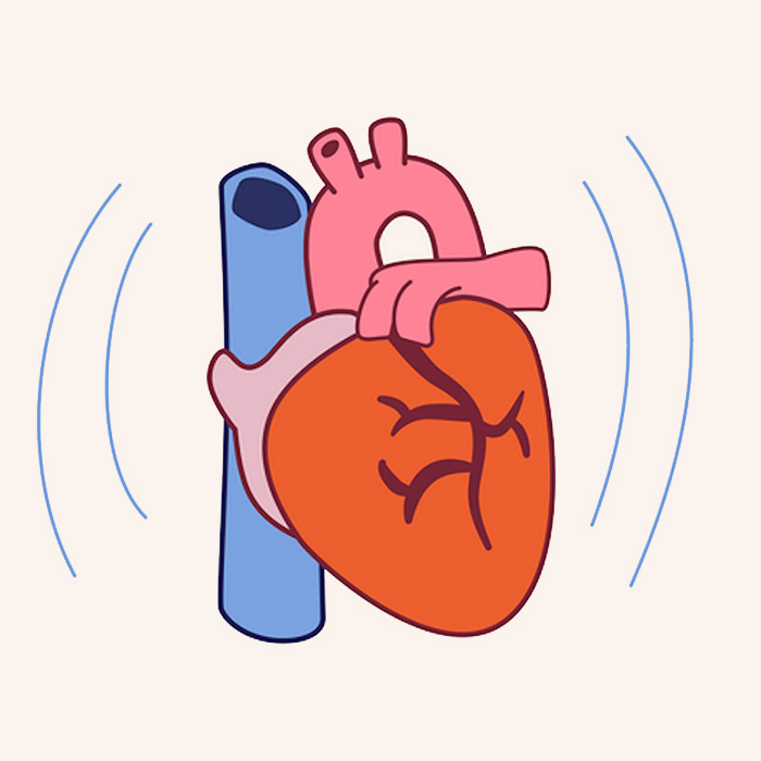 Vermittlung von Basiswissen an Patienten mit Herzerkrankung
